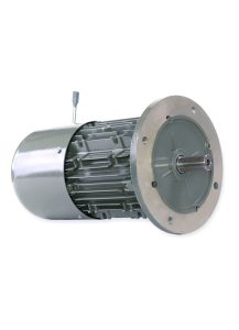 Brake Motors