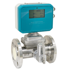 Cảm Biến Lưu Lượng Gas LWQ-080-D2-10-S-S4-AB-CT-D1